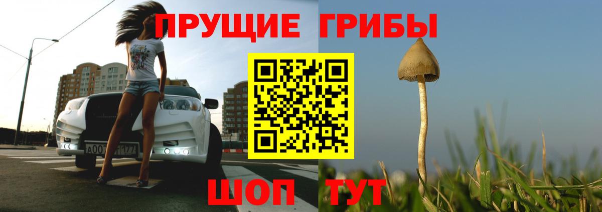 Псилоцибиновые грибы Magic Shrooms  Вход с VPN  Саянск 